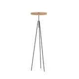 DISCOVERY FLOOR LAMP